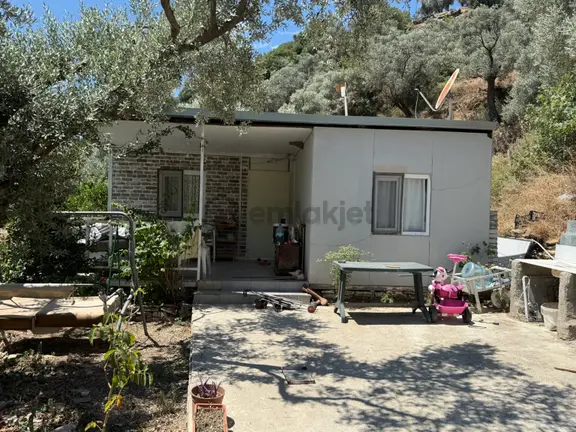 Doğanın Kalbinde 650 M2 Dere Kenarı Yaşam Alanı 2