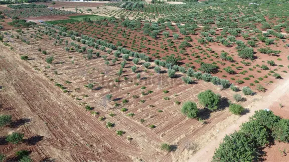 Oğuzeli Nova Gayrimenkul'den Yatırımlık Tek Tapu 10 Dönüm Tarla 2