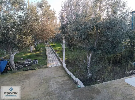 Acıl Satılık 2