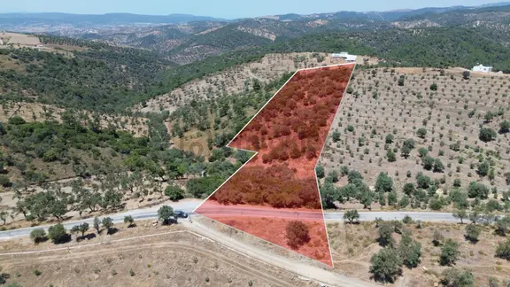 Seferihisar Devlet Hastanesi Üzerinde Ana Yol Cepheli 11.800 M² Satılık Arazi | Yatırım İçin Eşsiz F 1