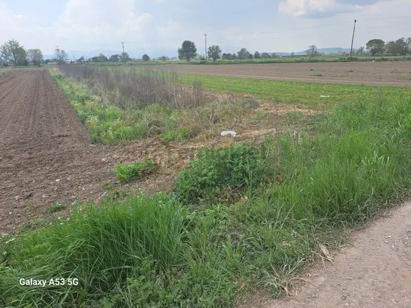 Adapazarı Budaklar Mah. Yola Sıfır Satılık İki Yan Parsel 1
