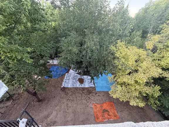 Turanlardan..cafana Merkezde Tam Yatırımlık 2 Katlı Ev Ve Arsası 1