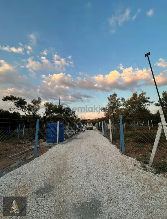Yatırımcıların Dikkatine Efendi Mah 318 M2 İmara Yakın Tarla 1