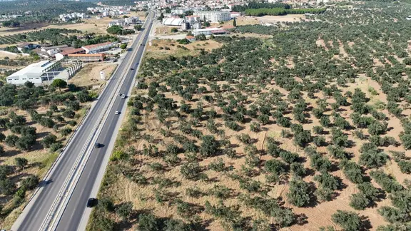 Zecorner'dan Gömeç Karaağaçta Anayola Sıfır Zeytinlik Yerleşim Y 2