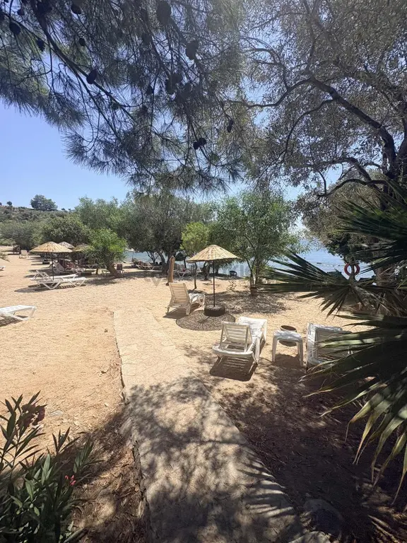 Milas Kıyıkışlacık İassos Beach Clubda Fırsat.. 1