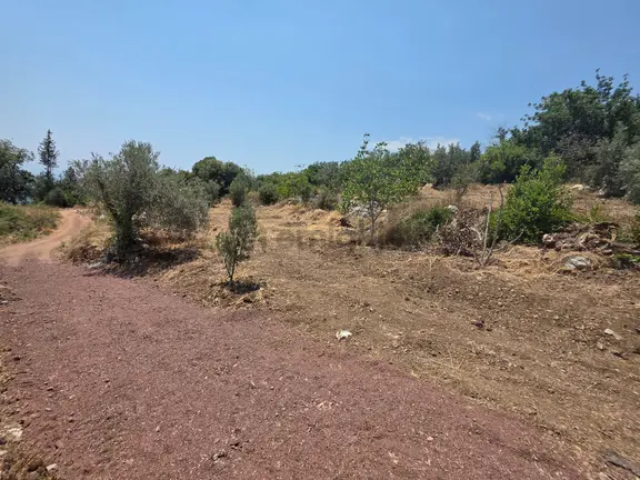 Sahibinden Kumluca,incircikte Mustakil Tapulu 1
