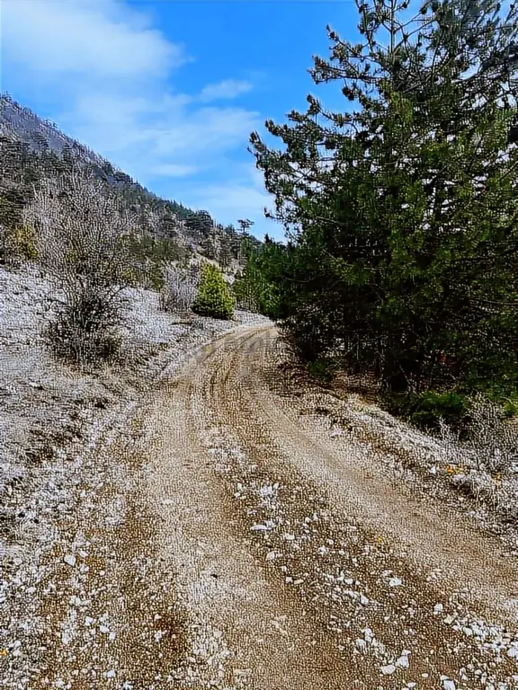 Araç Takasına Uygun Mudurnu Da Satılık Tek Tapu(1.577 M²) Tarla 1