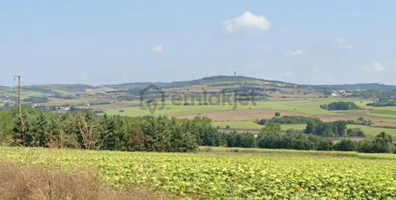 Çatalca Kestanelik'te 16.846 M² Satılık Tarla 1