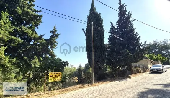 İzmir Manisa Yolu Üzerinde Sarnıç Kavşağında 516m2 Bağ & Bahçe 1