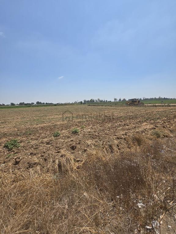 Vesile'den Bulvar Üzeri 837 M² 2