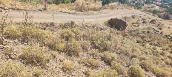Uçardan Yola Cepheli Bahçe 2