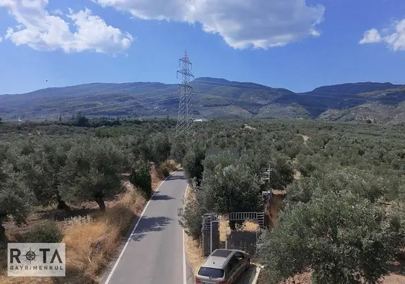 Altınoluk Avcılar Asfalta Cephe Zeytinlik-rota 2
