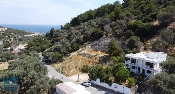 Eğlenhoca Da Satılık 1500m2 Tarla İçerisinde 2katlı Yaşam Alanı 1