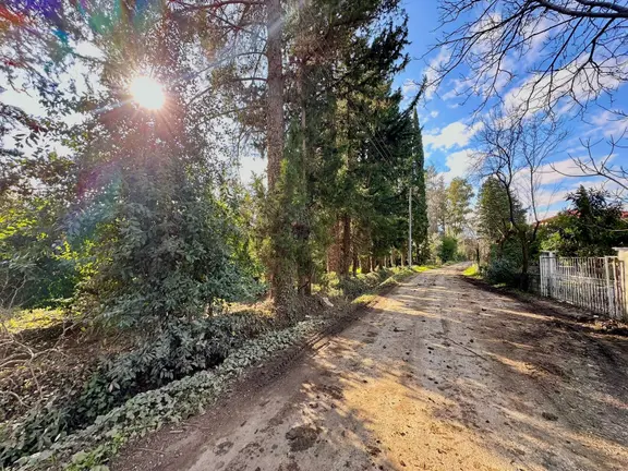 Bahtılı'da 10 Dönüm Bir Çok Tesise Uygun Kiralık Tarla 2