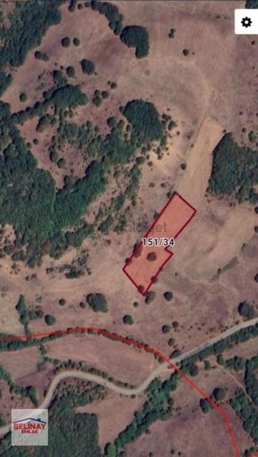 Yatırıma Uygun 10950 M2 İki Adet Tarla 2