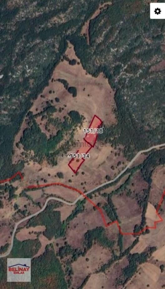 Yatırıma Uygun 10950 M2 İki Adet Tarla 1