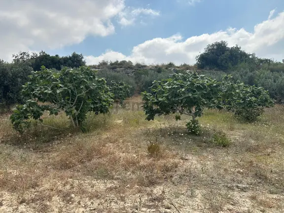 New Form Dan Akdeniz Bağlarbaşı'nda Satılık Tarla & Bağ 2