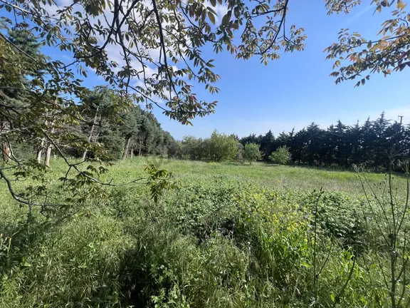 Silivri Ortaköyde 3455 M², Terkten Sonra 2079 M² Köşe Parsel 2