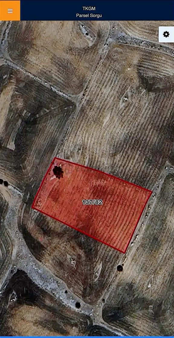 Karadığınde 2100 M2 Satılık Tarla 2