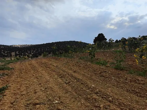 Karadığınde 2100 M2 Satılık Tarla 1