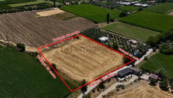 Pek Emlaktan Tire Ye 1400 Metre Mesafede Satılık Kupon Arazi 1