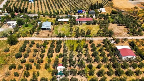 Düzce'de Yerleşime Yakın Lokasyonda 500 M2 Bahçe 2