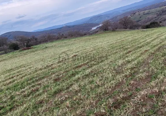 Mir'den Balıkesir Kırmızılar Mahallesi'n De 7.713m2 Tarla 2