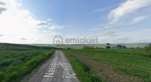 Adapazarı 15 Temmuz Camile De 4705m2 Bugün Tarla Yarın İse Arsa 2