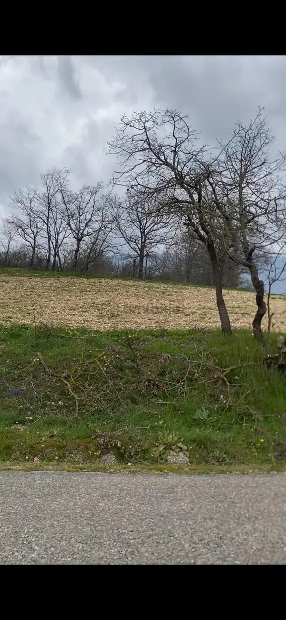Sahibinden Bolu Mudurnu Da Satılık Ana Cadde Üzeri 2