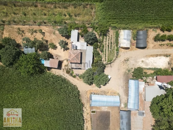 Muhteşem Çiftlik Evi-ödemiş'e 7 Km-adagide Ana Yol Üzeri-3 Dam 2