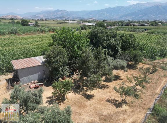 Muhteşem Çiftlik Evi-ödemiş'e 7 Km-adagide Ana Yol Üzeri-3 Dam 2