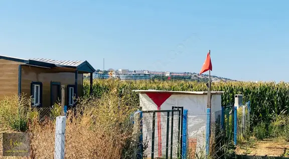 Manisa Yunusemre Yağcılarda Satılık 180 M² Tapulu Hobi Bahçesi 1