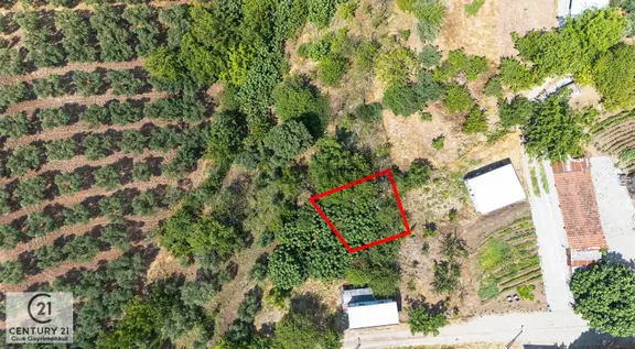 C21 Cius;gemlik Yeniköy'de Köy İçinde Satılık Bahçe 1