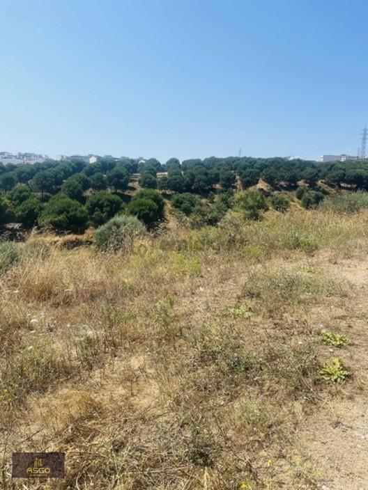 Asgo Dan Ayyıldız Mah. Satılık İmarlı Arsa 2