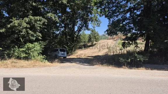Acil Satılık Deydinlerde Asfalta Cephe Bağ Yeri 1