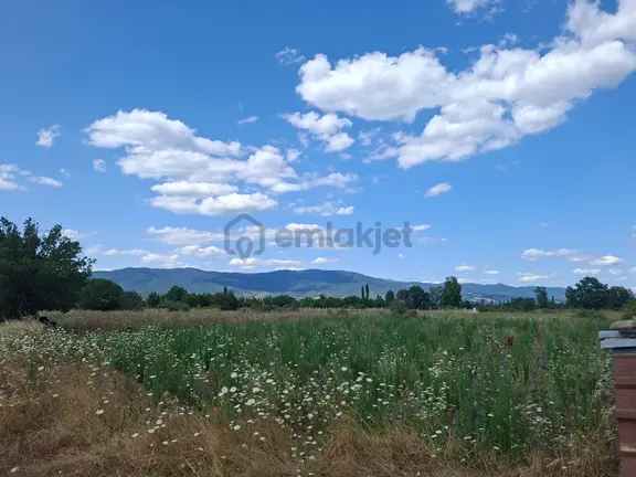 Kazdağları Akçakoyun Kaçırmayın 2