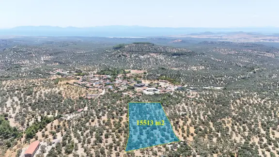 Mutlu'köye Sıfır Köy İçinde Fırsat Resmi Yolu Bulunan Zeytinlik 2