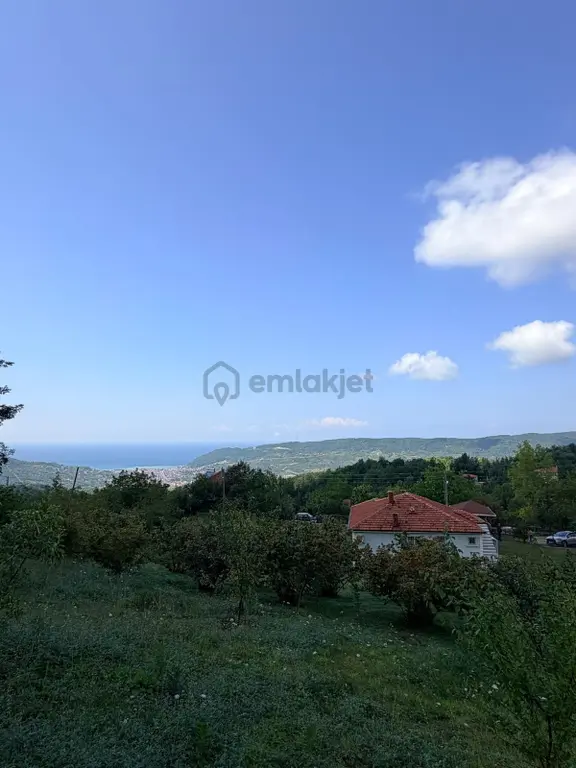 Cide Demirtaş Emlaktan Satılık 3+1 Müstakil Ev Ve Bahçesi 2