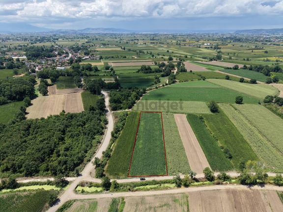 Erenler Küçükesencede 3700m2 Resmi Yollu Kaçırılmayacak Fırsat 2