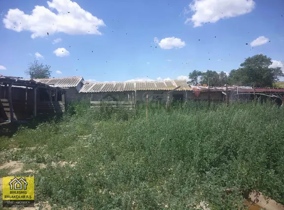 Edirne Uzunköprü Kırcasalih'te 9.086 M2 Tarla Ve Ağıl 2