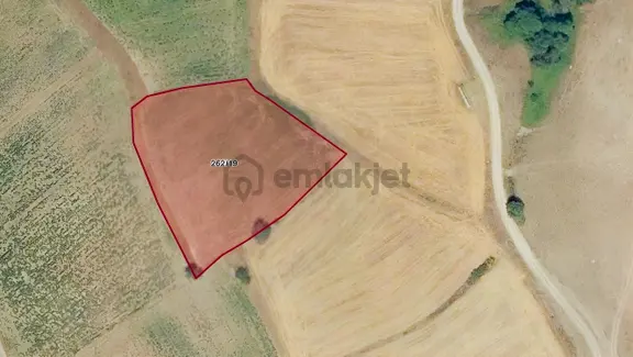 Kamçılı Mah. 3.643 M² Satılık Tarla 1