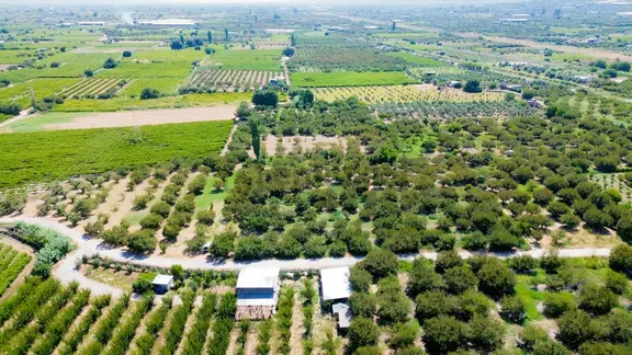 Erz'den Turgutlu Avşar'da Geleceğin En Kazançlı Arazi Yatırımı 1