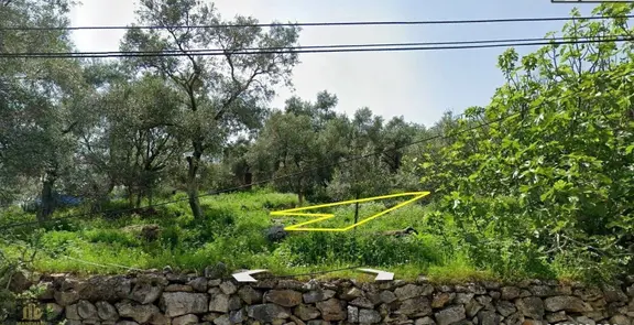 Elvan Özçelik'den Ören Pinar'da Köyiçinde Satılık Zeytinli Tarla 1