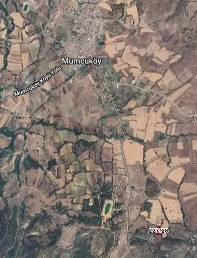 Balıkesir Sındırgı Satılık 1682 M2 Tarla 2
