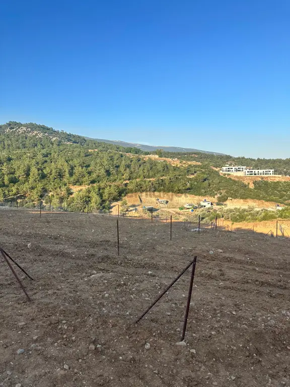 Kemalpaşa Kuyucak 201 M2 Satılık Parsel 2