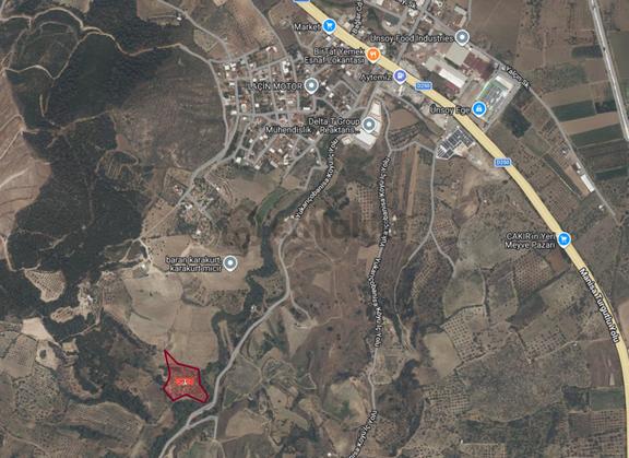 Özgün Gm'den - Aşağı Çobanisa Örnekköy'de Satılık Zeytinlik 2