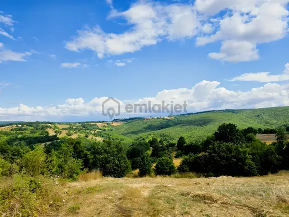 İzmit Kaynarca Topallar Mevki 119/181 Satılık 351m2 Tarla 1