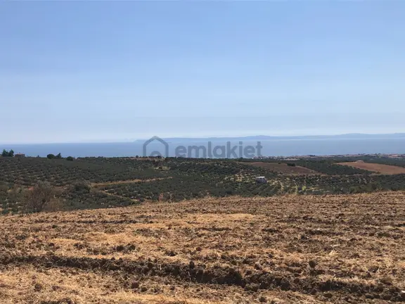 Şarköy De Işık Emlaktan İğdebağları Mah De 8600 M2 Tarla 2