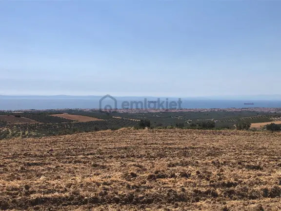 Şarköy De Işık Emlaktan İğdebağları Mah De 8600 M2 Tarla 1
