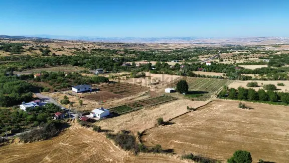 Sütlüce Resmi Yollu 5.076 M² Yatırımlık Süper Tarlaa 1